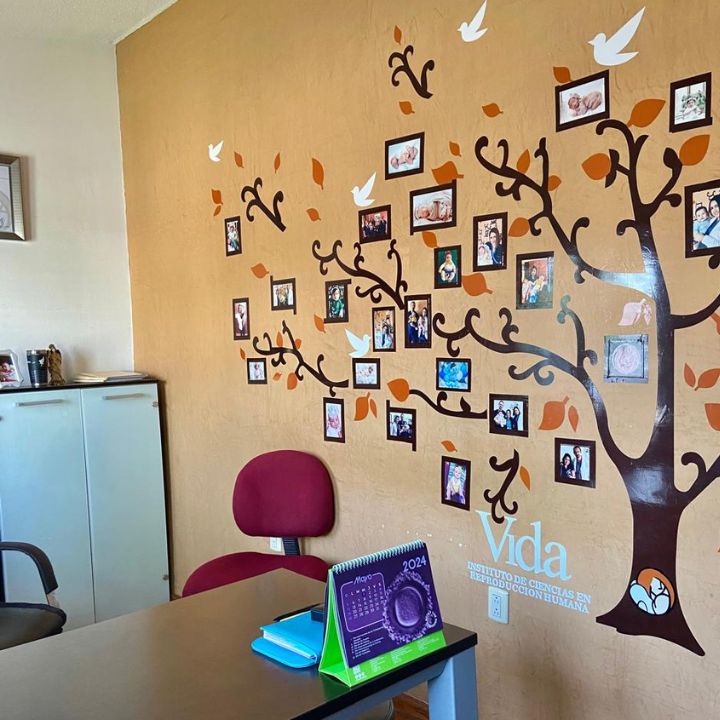 Instituto-de-Ciencias-en-Reproduccion-Humana-Vida-3