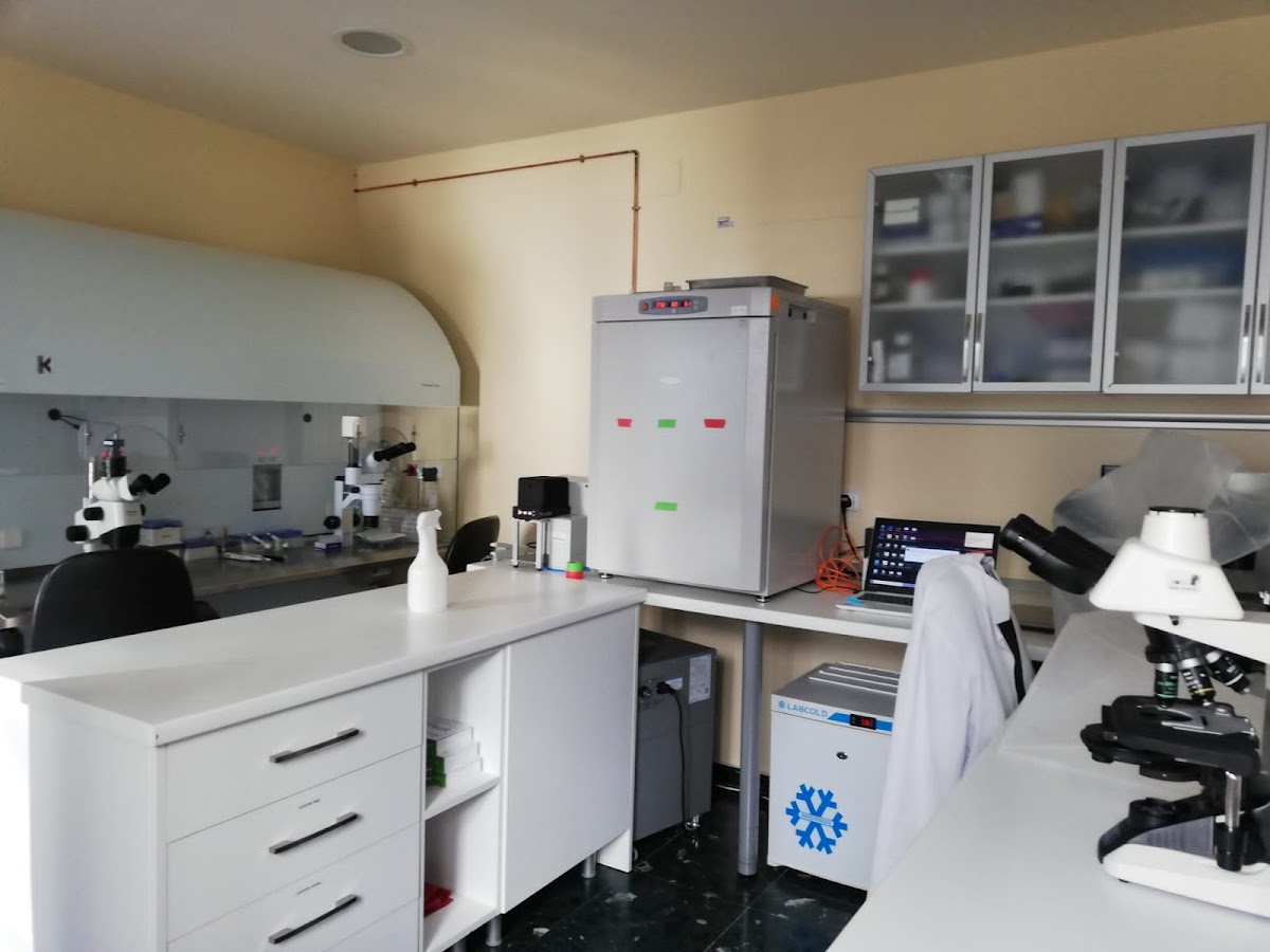 Invitro-Fertilization-ruber-1