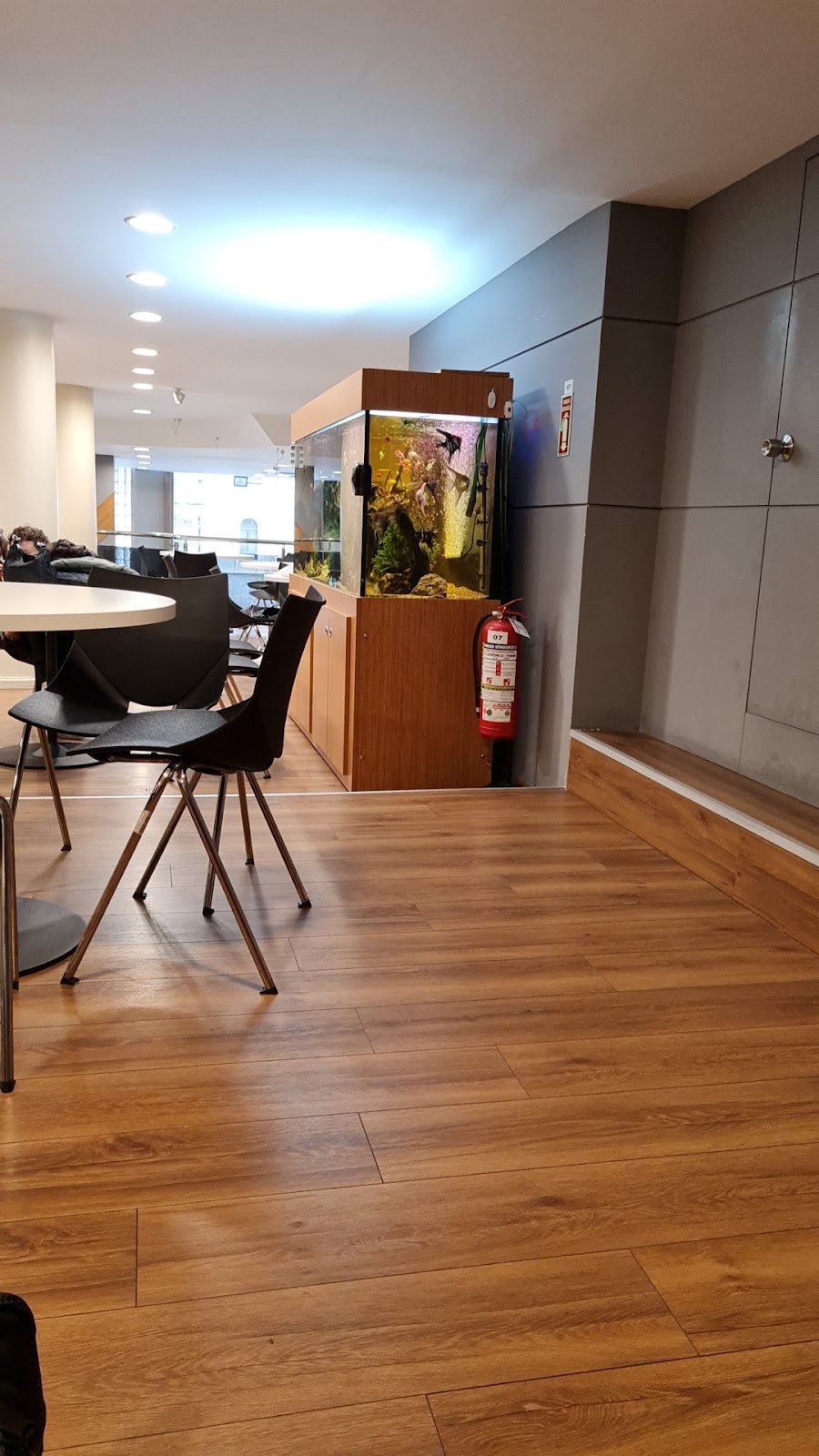 Istanbul IVF and Women’s Health Centers