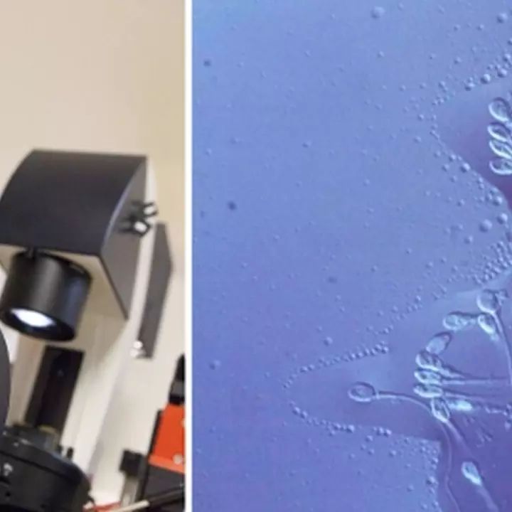 Kinderwunschzentrum-Ostfriesland-3