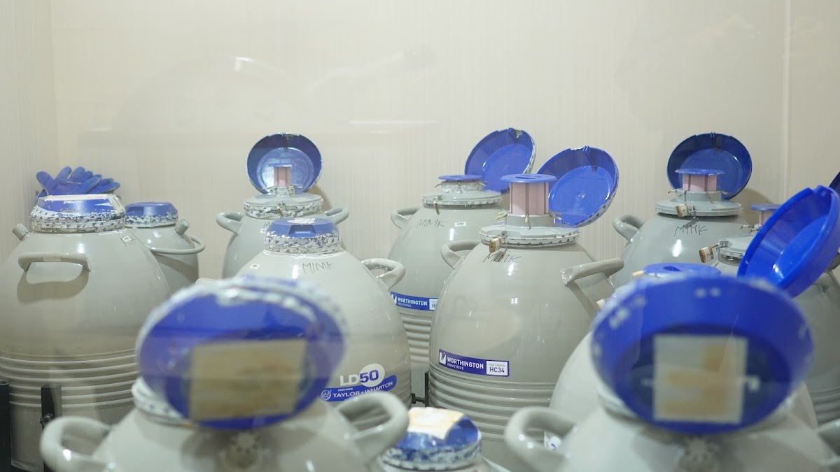 MORULA-IVF-MAKASSAR-4