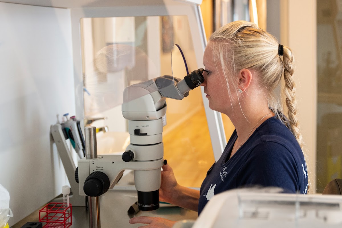 Maigaard Fertilitetsklinik – Aarhus