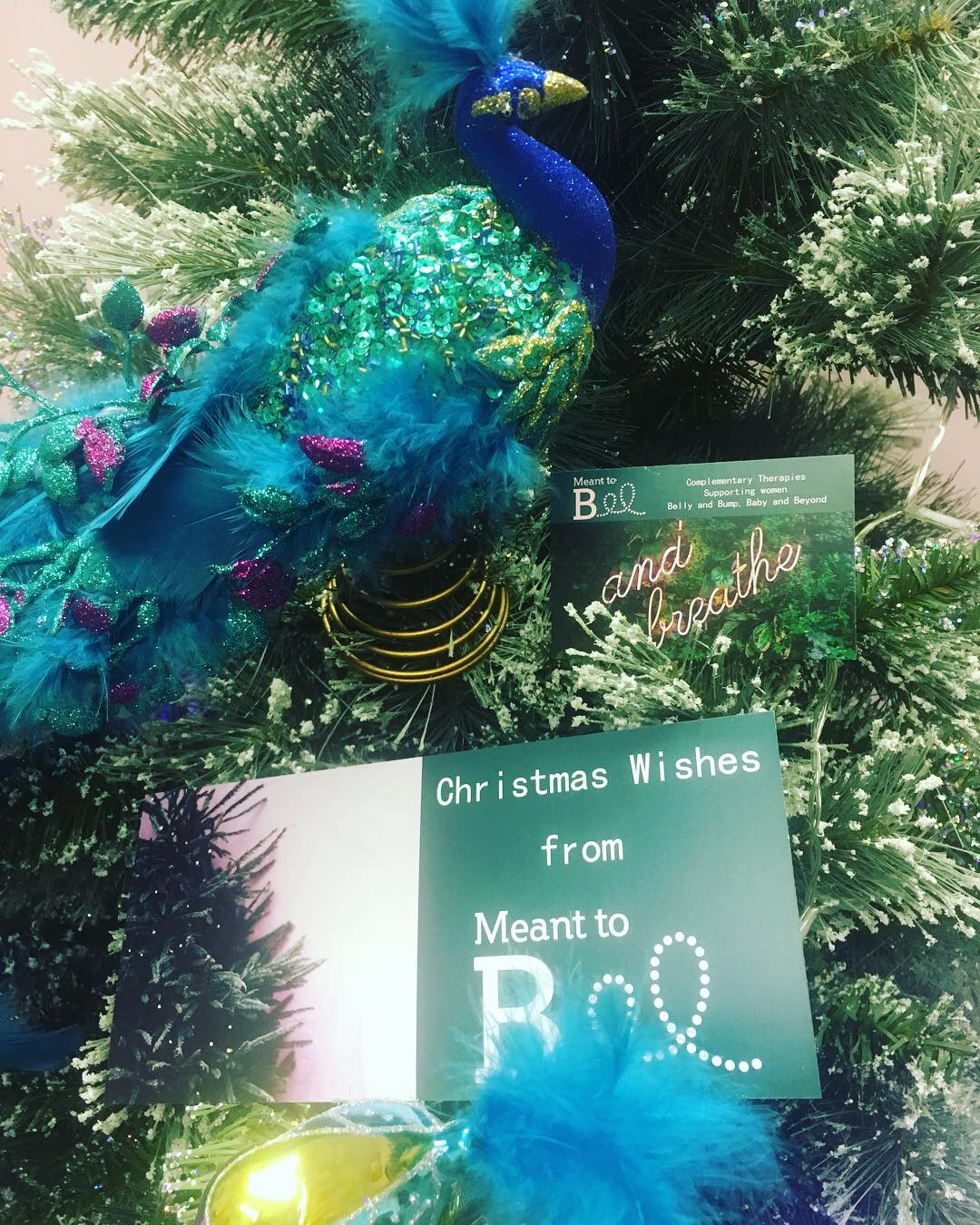 Meant-to-Bee-Therapies-1