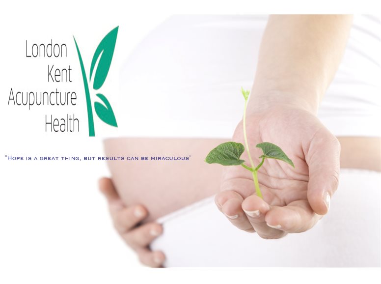 Michelle-Mulliss-Natural-Womens-Health-Clinic-2