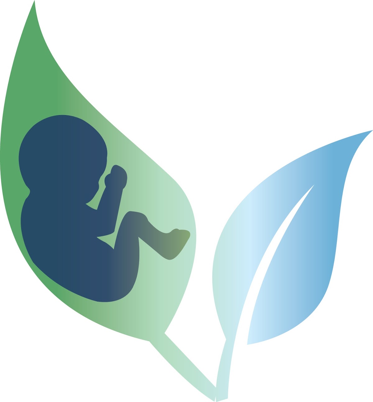 Michelle-Mulliss-Natural-Womens-Health-Clinic-4