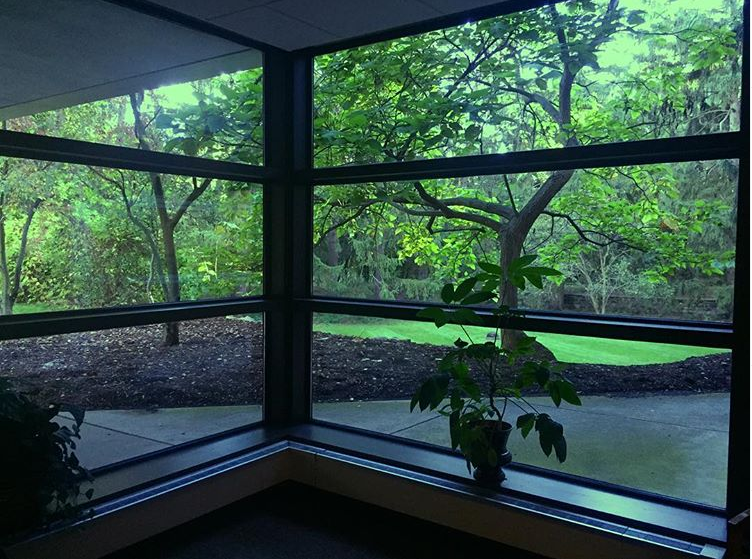 Michigan-Reproductive-Medicine-4