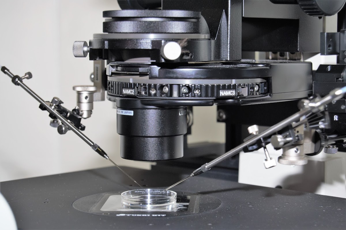NOVA FIV Fertility Centre Clínica de Reproducción Asistida en Jerez