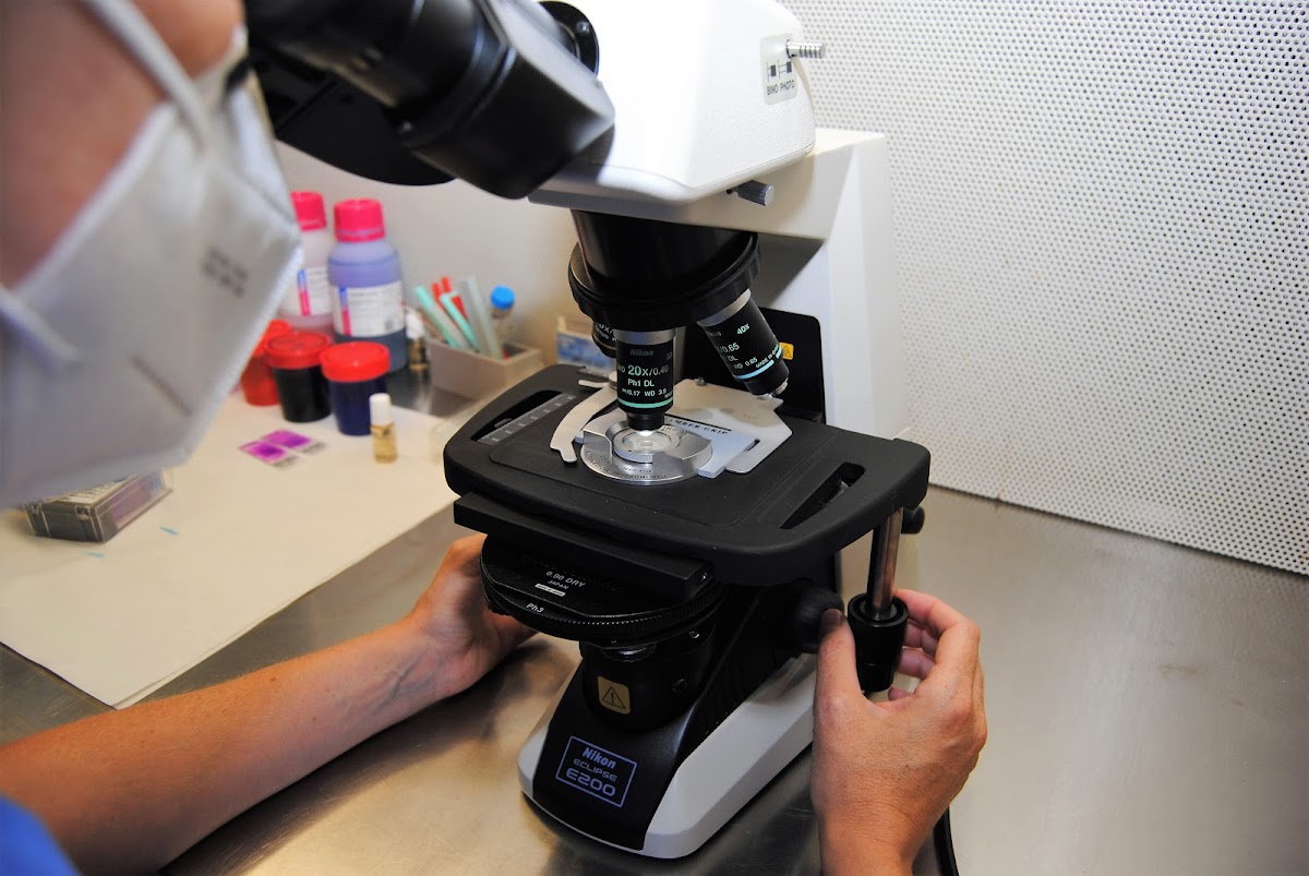NOVA FIV Fertility Centre Clínica de Reproducción Asistida en Jerez