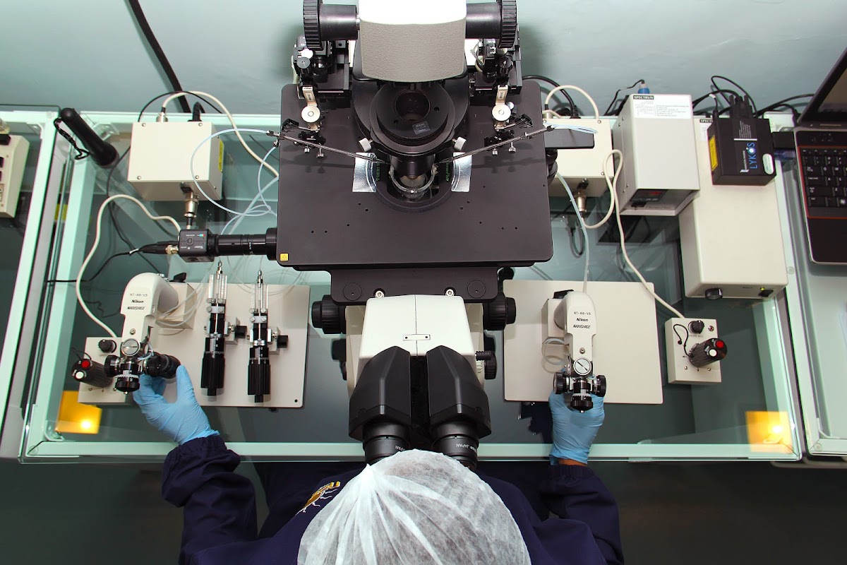 Nascer-Medicina-Reprodutiva