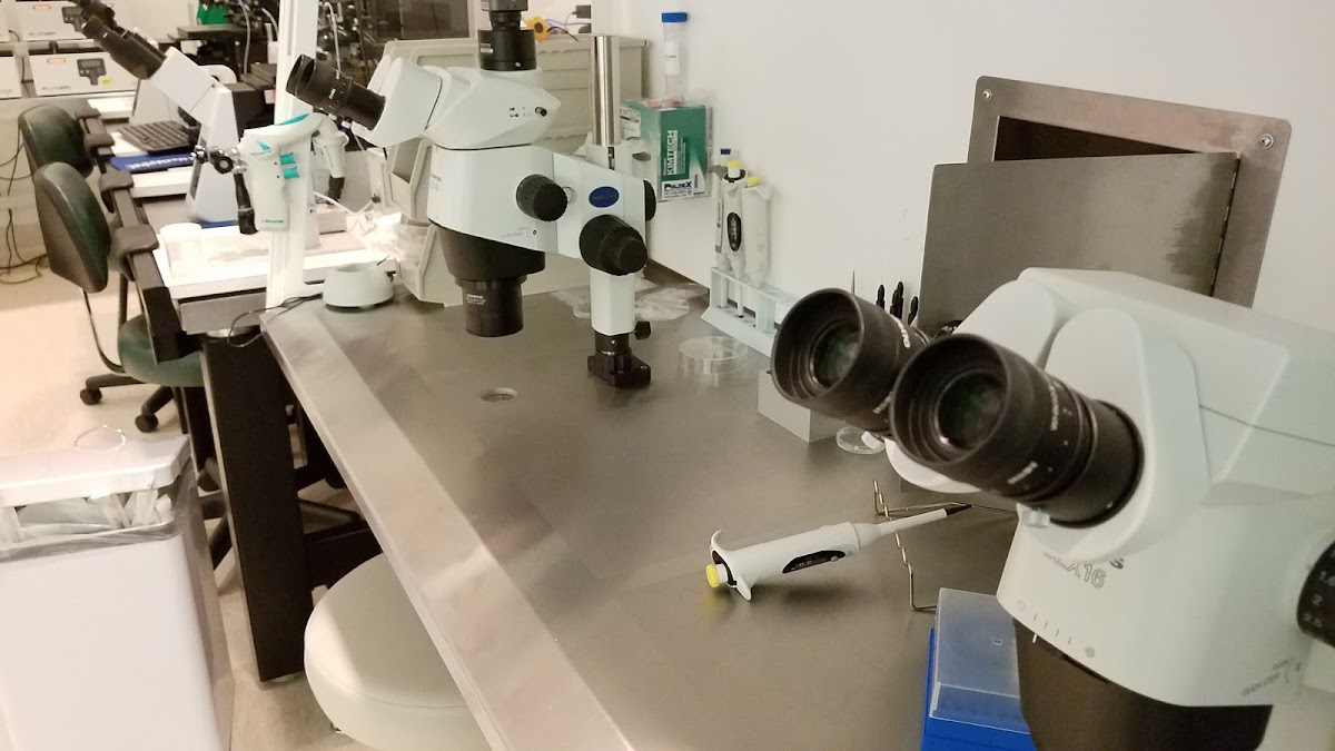 New-Direction-Fertility-Centers-3