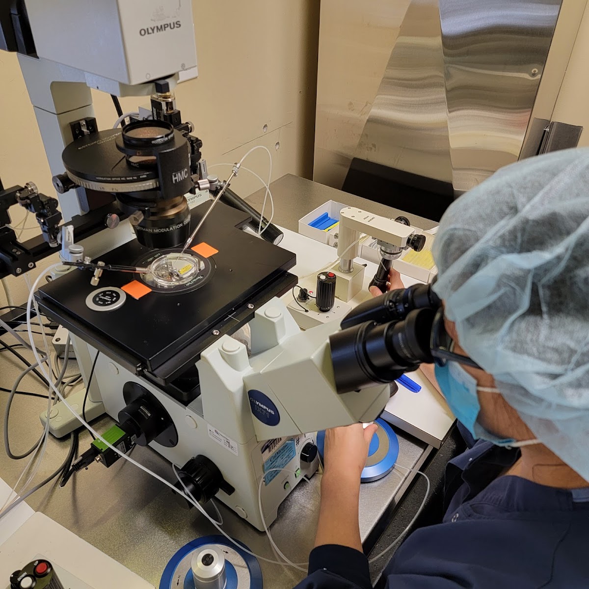 New-England-Fertility-Institute-1