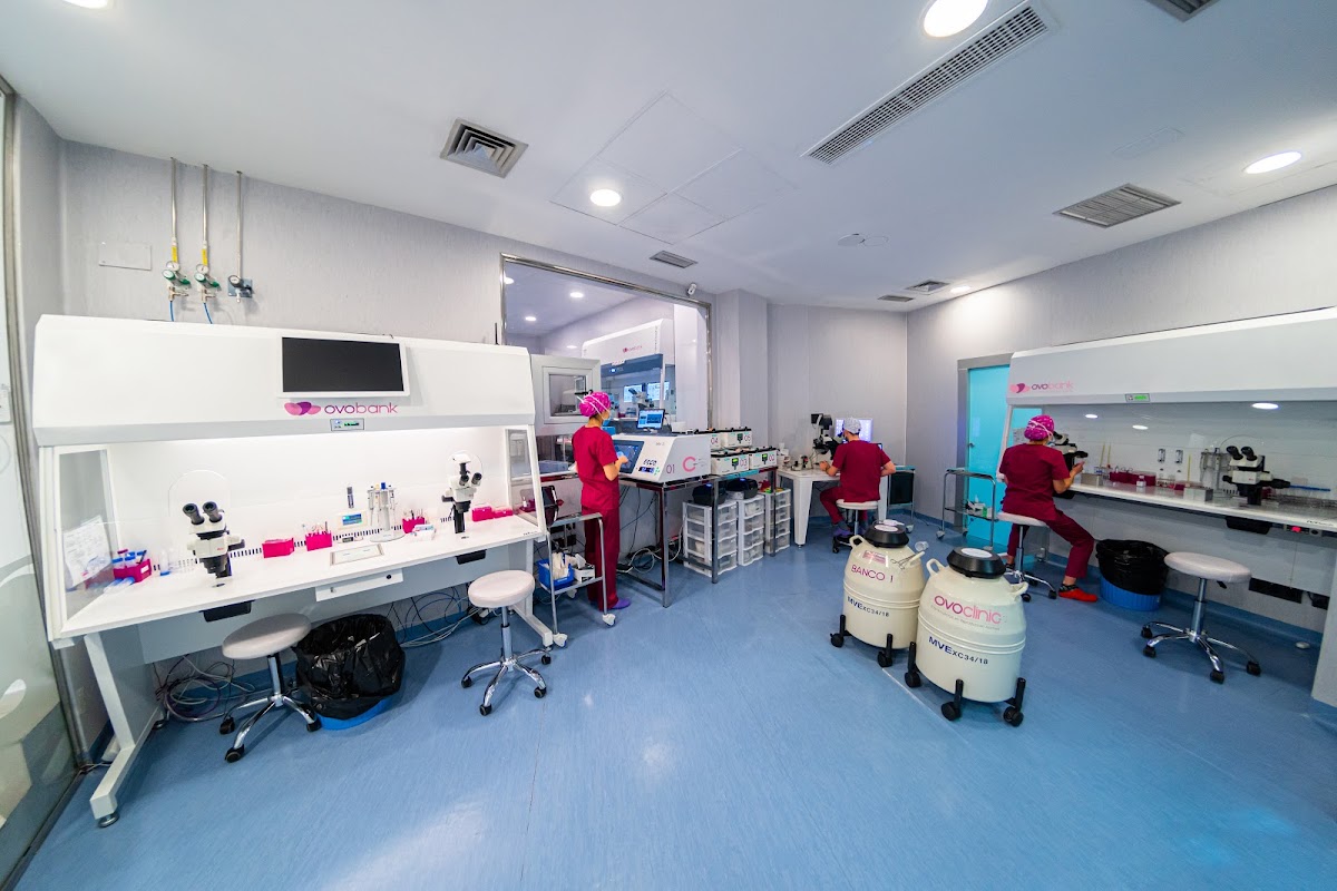 OVOCLINIC-Reproduccion-Asistida-en-Ceuta-3