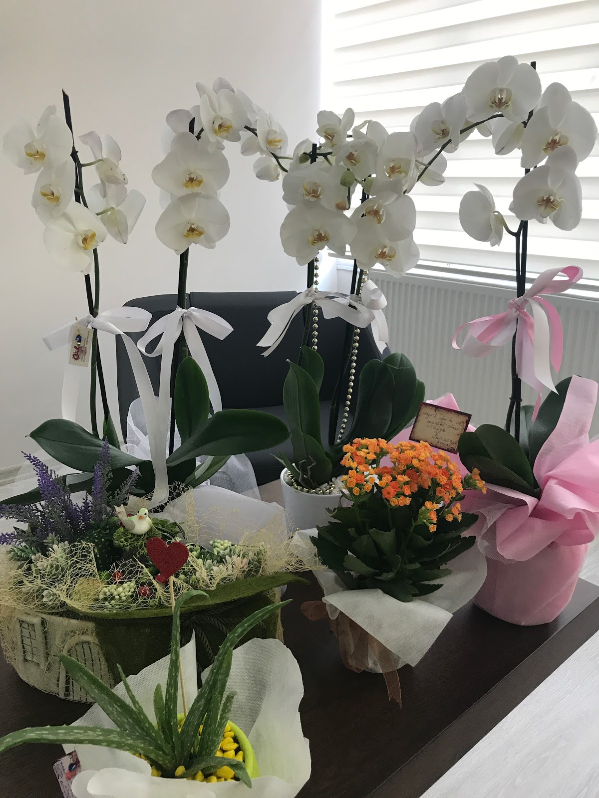 Op.Dr_.Serife-DIKAYAK-Ureme-endokrinolojisi-ve-Infertilite-klinigi-kadin-hastaliklari-ve-dogu-2