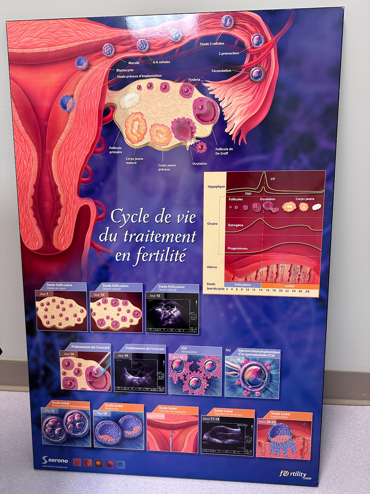 OriginElle-Fertility-Clinic-amp-Women8217s-Health-Centre-3