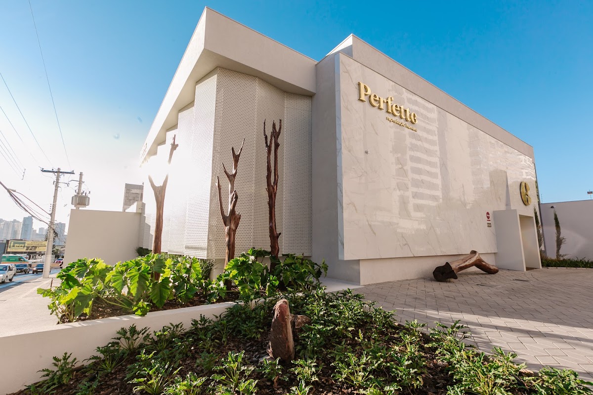 Perfetto-Reproducao-Humana-1