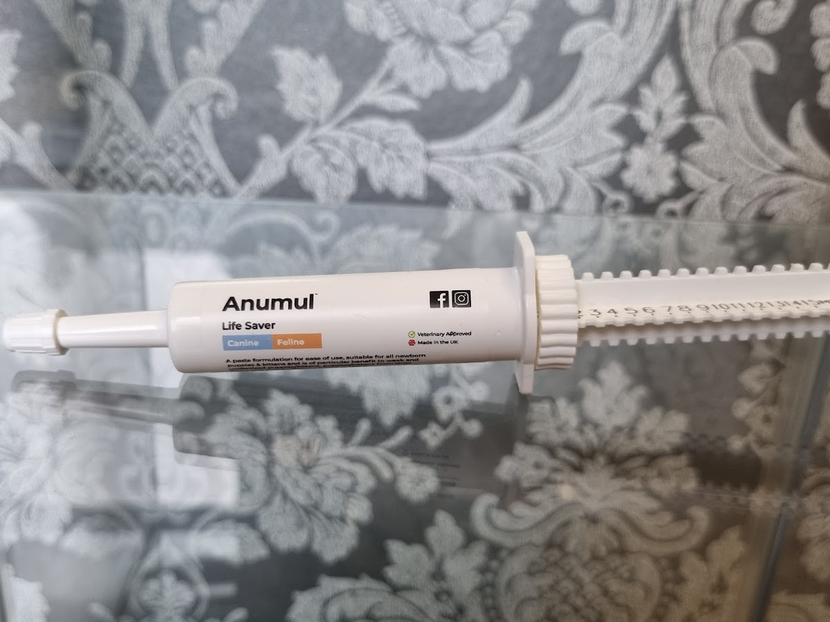 Pet-Ultrasound-Scanning-and-Canine-Fertility-Clinic-2