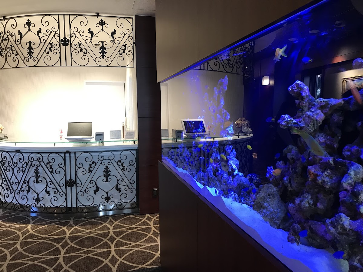 Phoenix-Art-Clinic-2