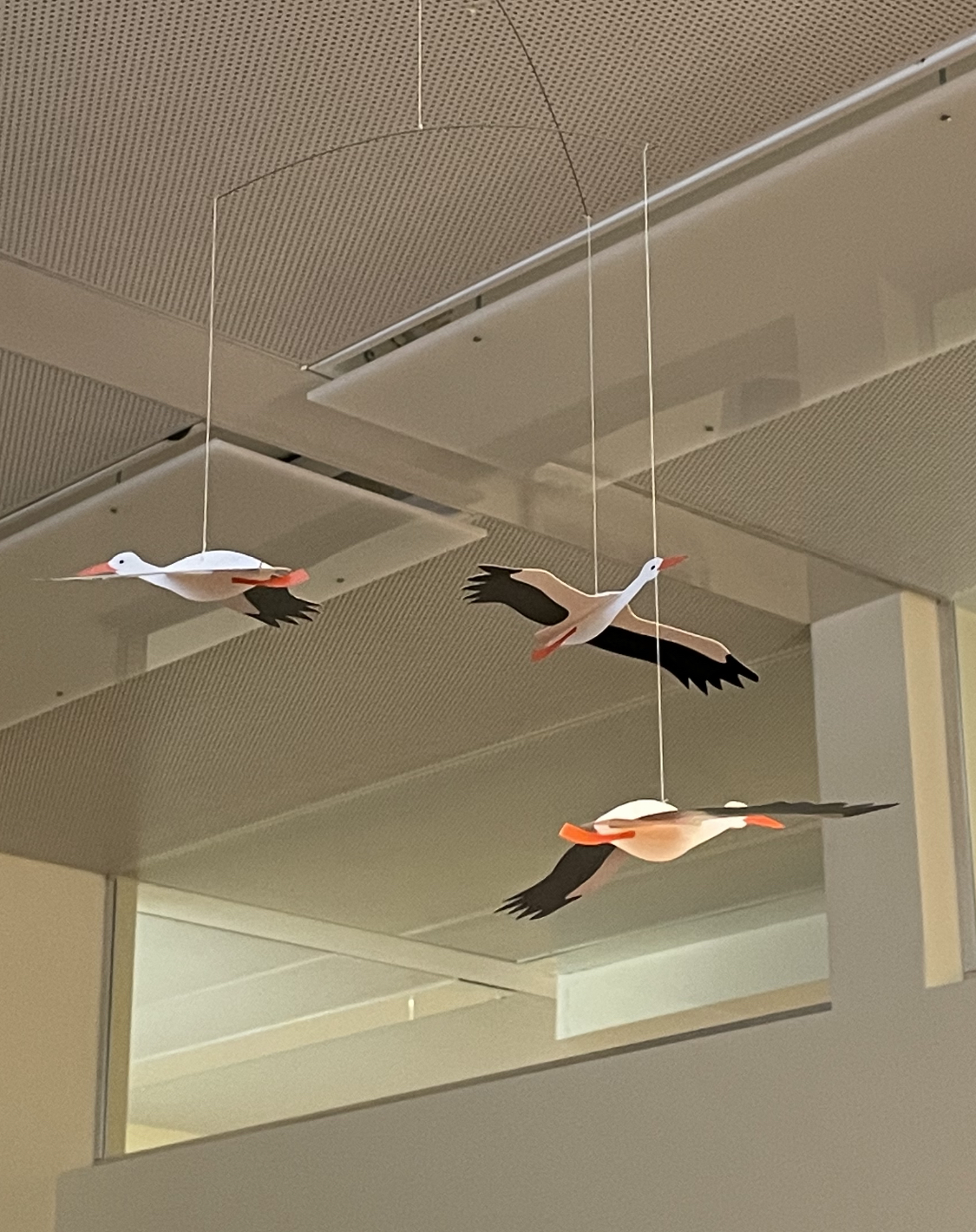 Practice-for-fertility-2