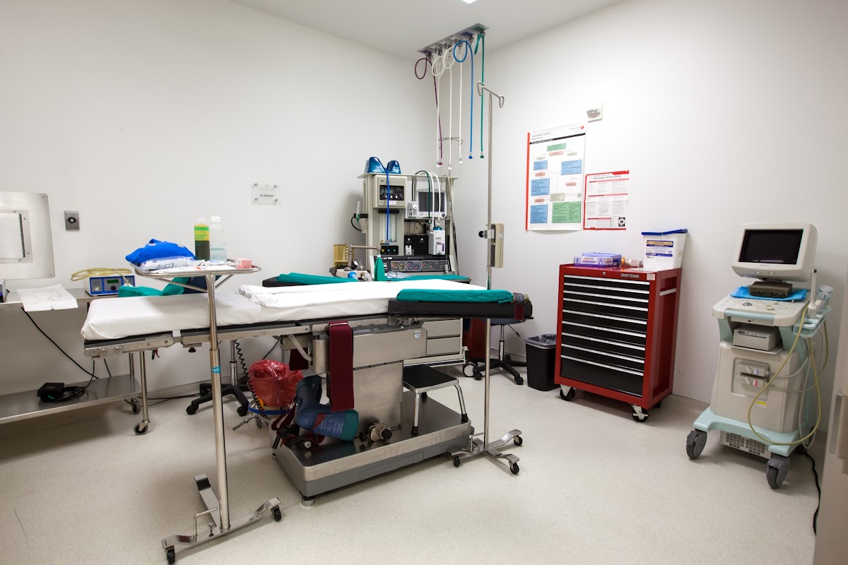 Santa-Monica-Fertility-3