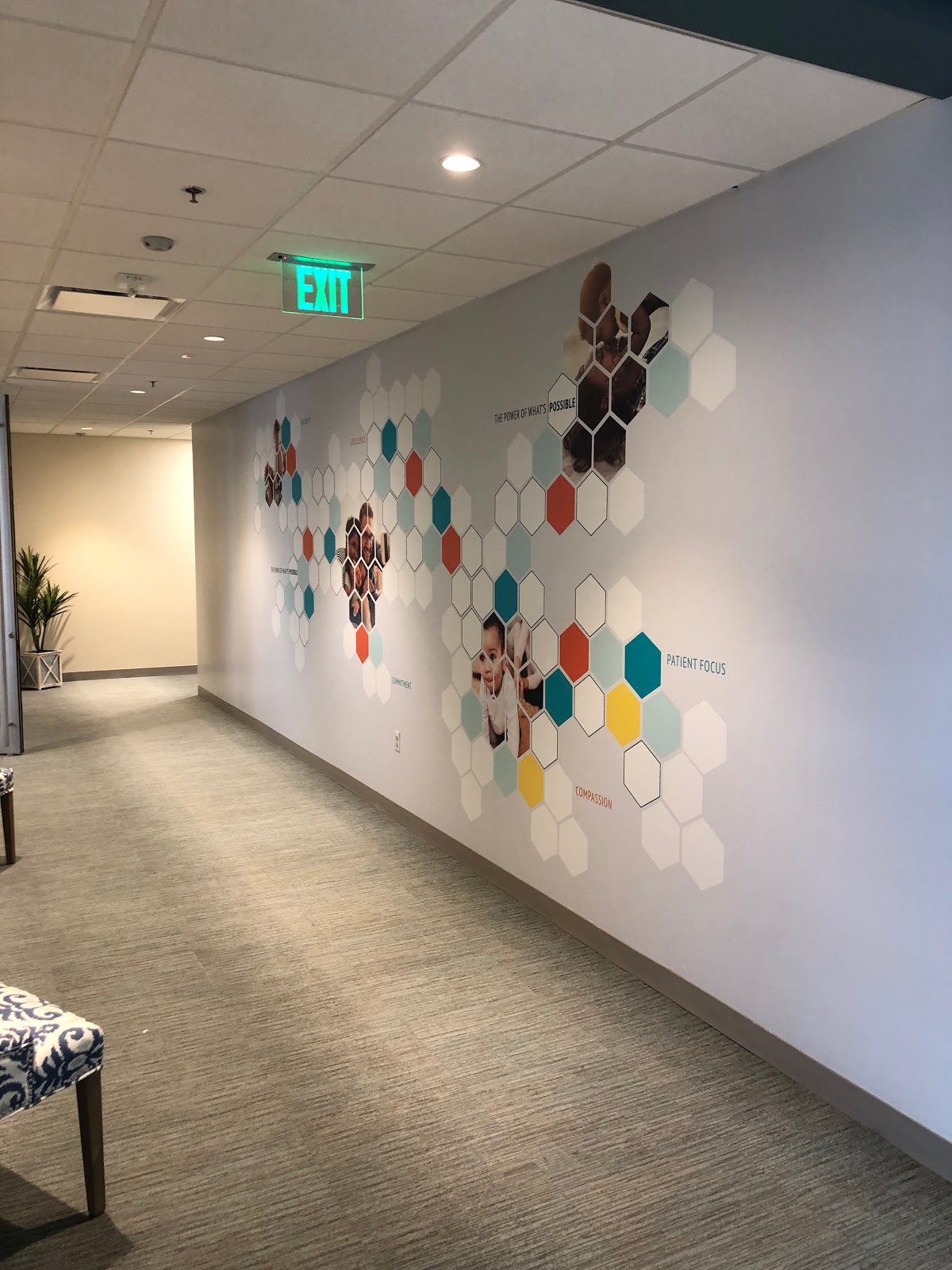 Shady-Grove-Fertility-in-Tampa-FL-1