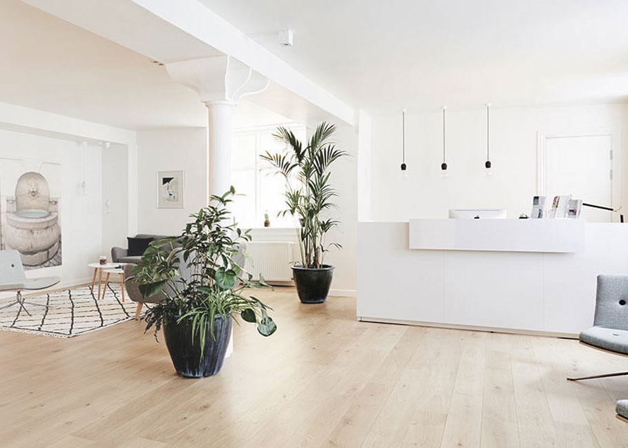 TFP-Fertility-Denmark-8211-BLIV-AEGDONOR-1