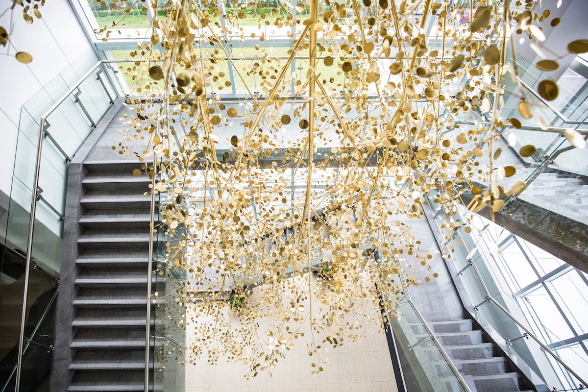 Taiwan-IVF-Group-艾微芙國際生殖醫學中心-3