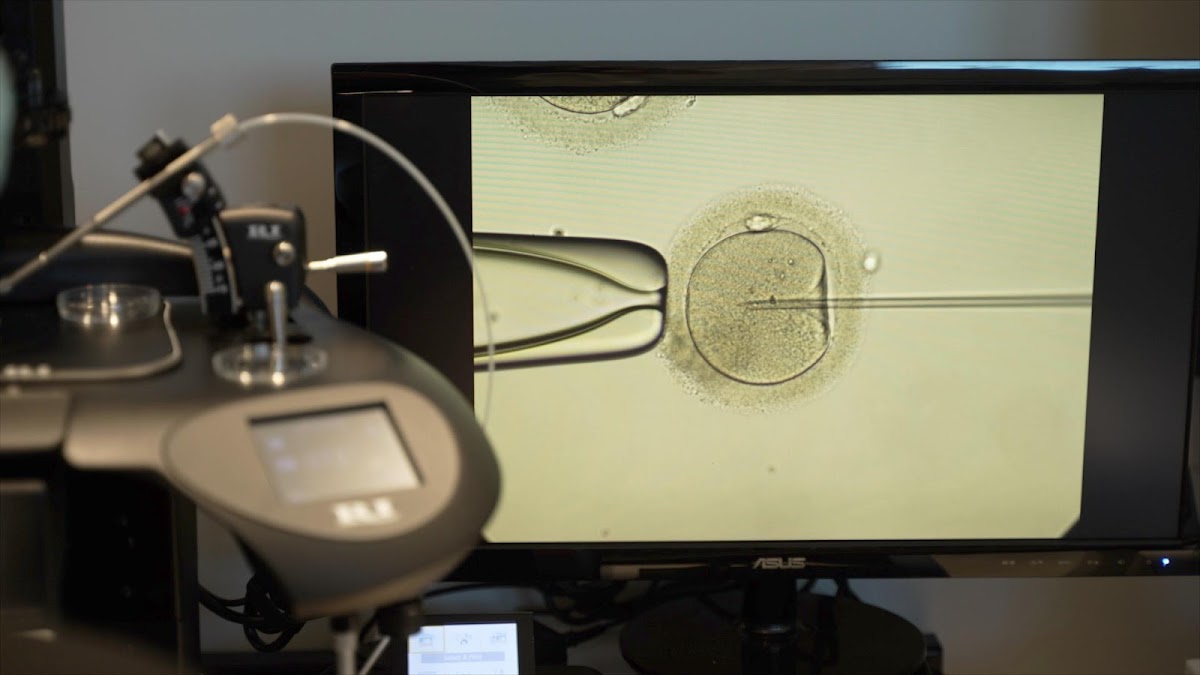 The-Reproductive-Medicine-Group-3