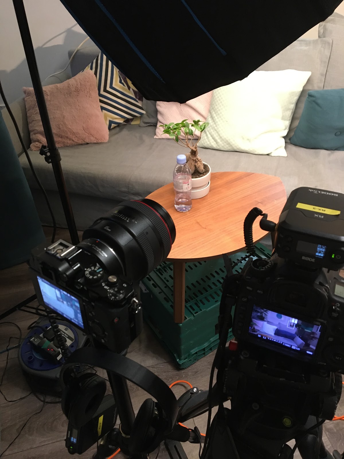 Your-Fertility-Journey-Ltd-1