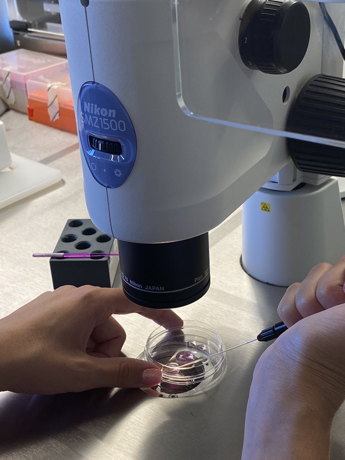 Κλινική-Γονιμότητας-Fertility-Clinic-Εξωσωματική-Γονιμοποίηση-και-Δωρεά-Ωαρίων-1