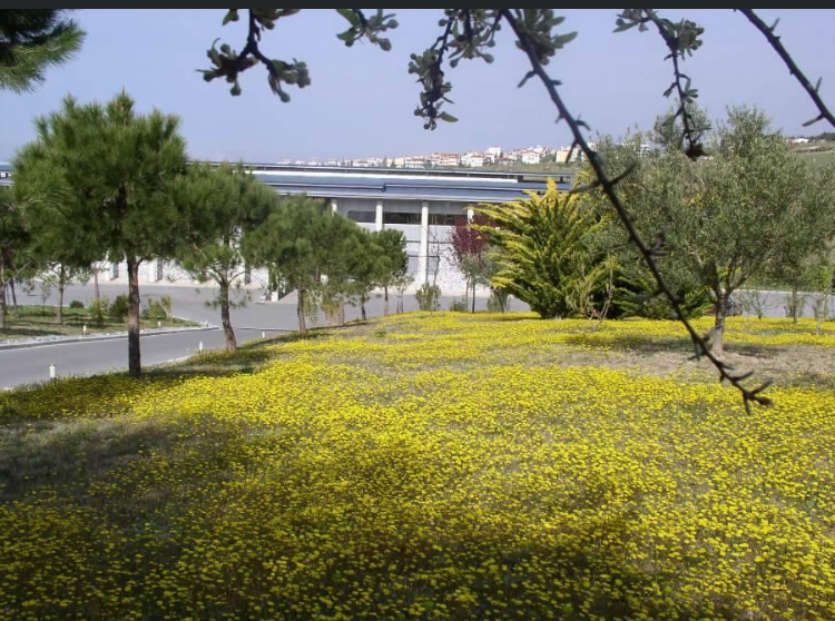 Κλινική-Γονιμότητας-Fertility-Clinic-Εξωσωματική-Γονιμοποίηση-και-Δωρεά-Ωαρίων