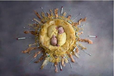 Arizona-Associates-for-Reproductive-Health-3