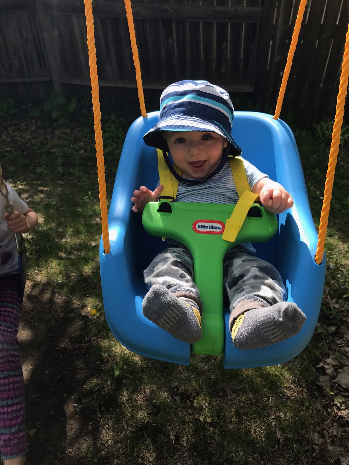 Embryo-Connections-1