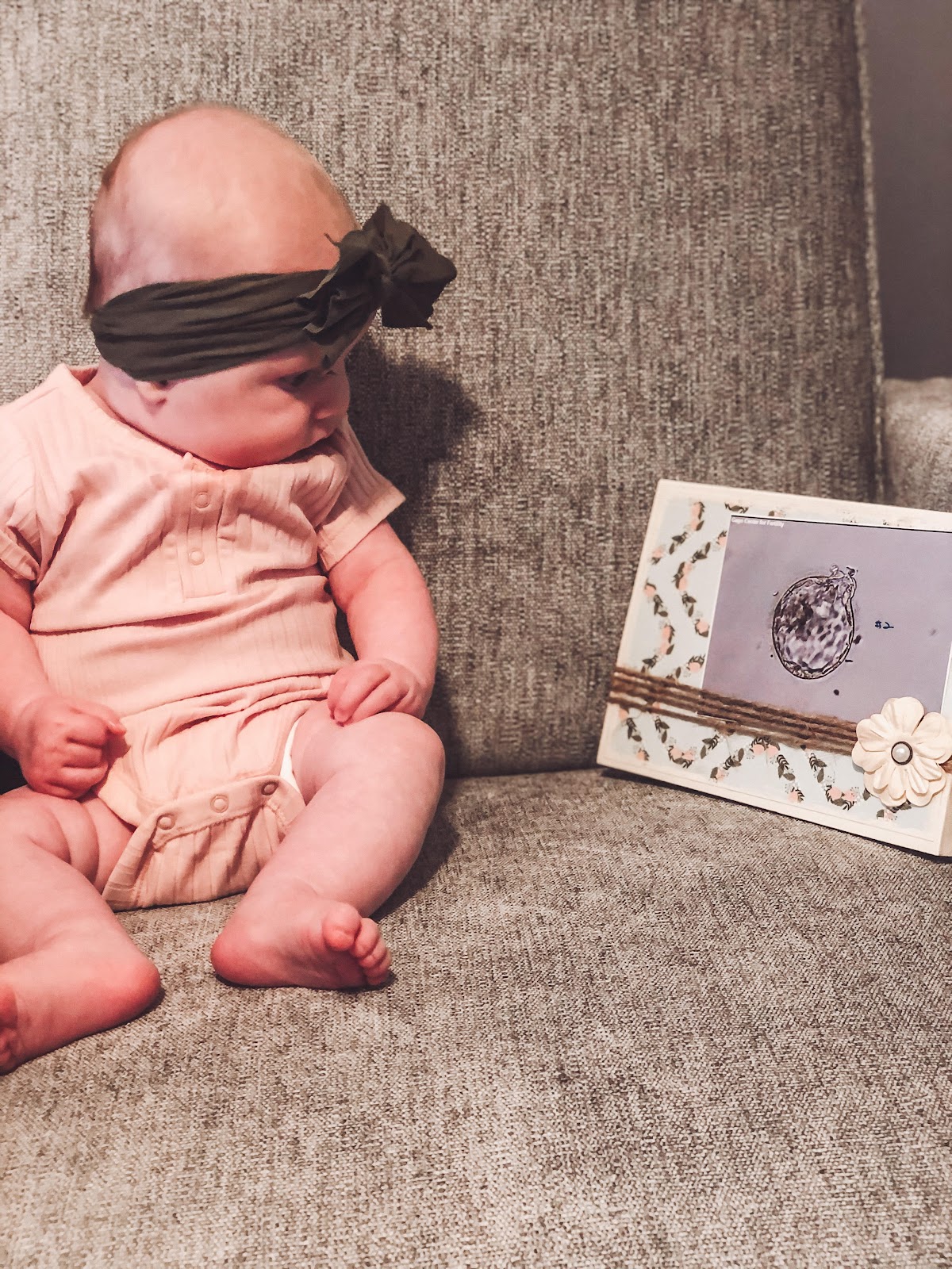 Embryo-Connections-3