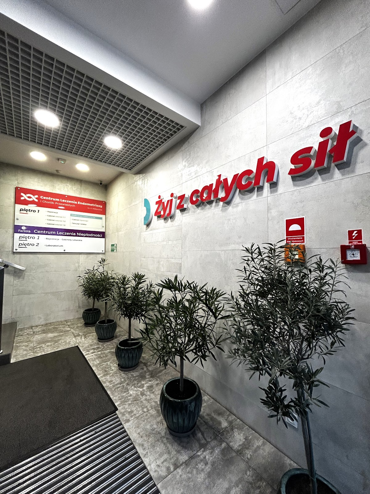 Fertilita-Polsko-8211-Wloska-Klinika-Leczenia-Nieplodnosci-In-Vitro-Katowice-1