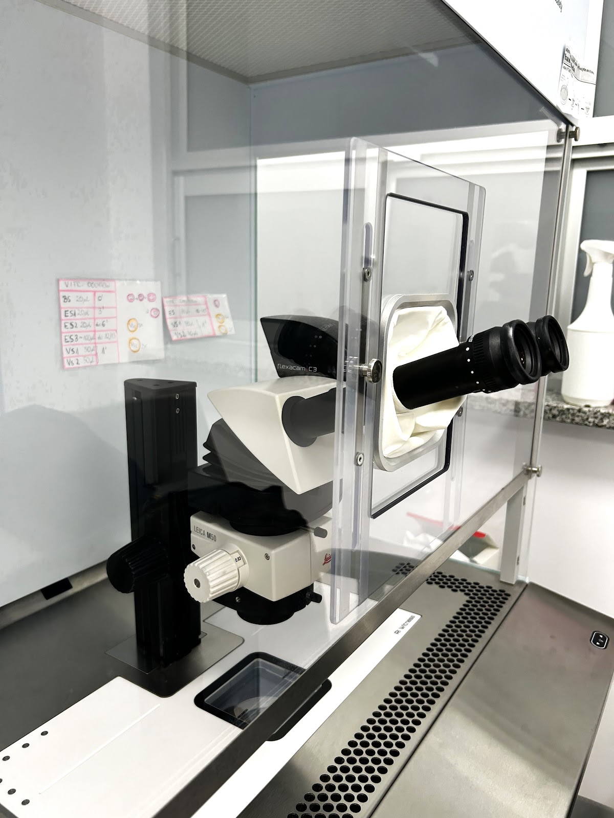 Fertilita-Polsko-8211-Wloska-Klinika-Leczenia-Nieplodnosci-In-Vitro-Katowice-4