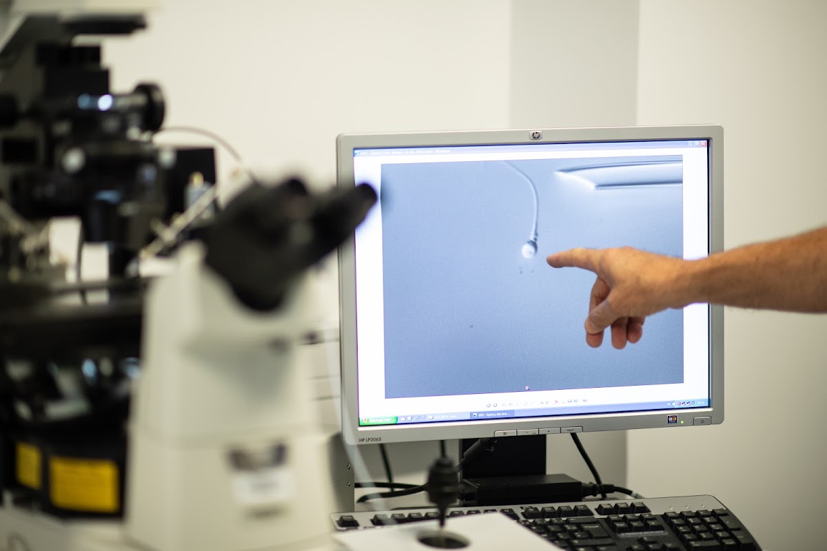 Institut-Rhonalpin-3