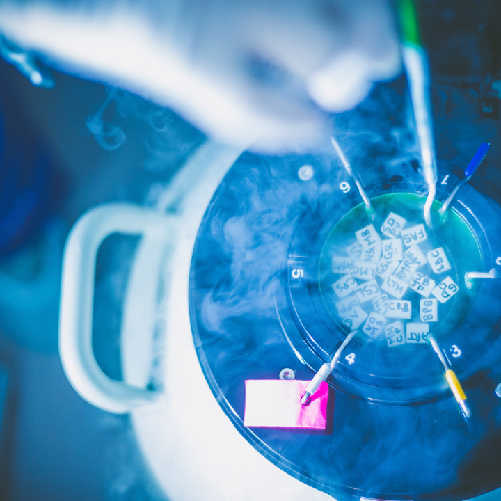 Nilo-Frantz-8211-Medicina-Reprodutiva-8211-Unidade-Porto-Alegre-3