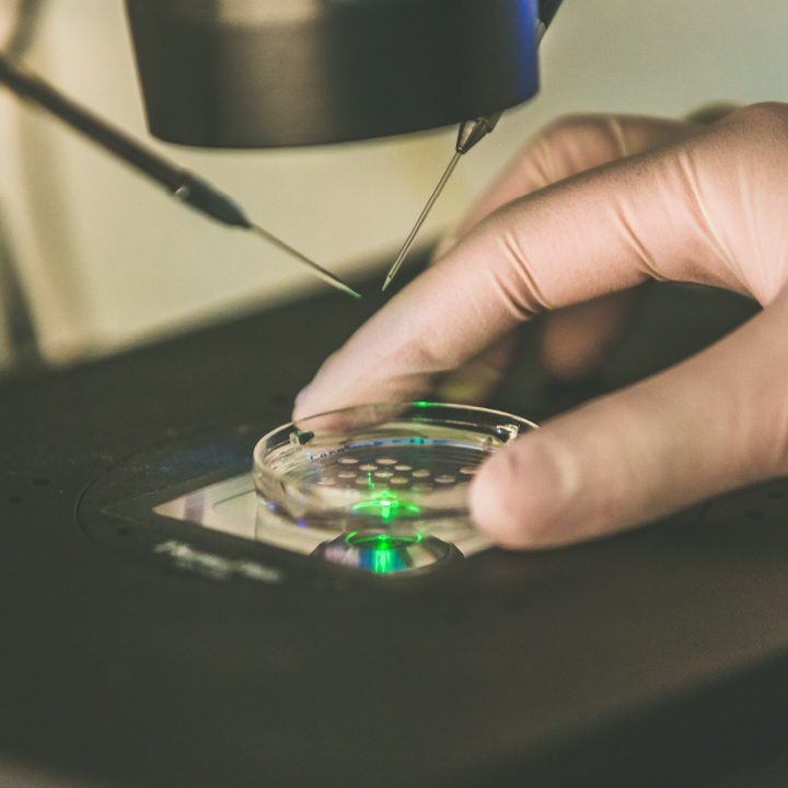 Nilo-Frantz-8211-Medicina-Reprodutiva-8211-Unidade-Porto-Alegre-4