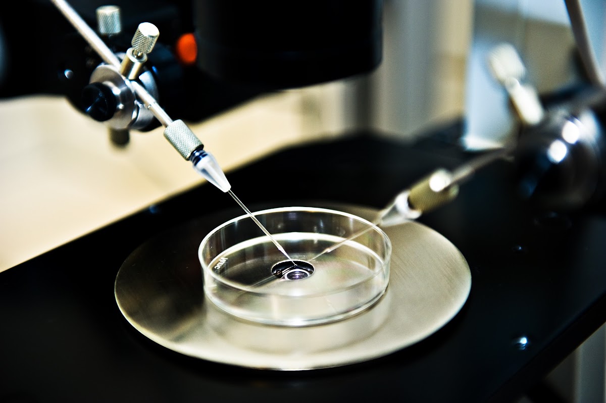 OVUM-Specialized-Medical-Center-4