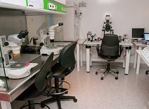 Pregna Medicina Reproductiva