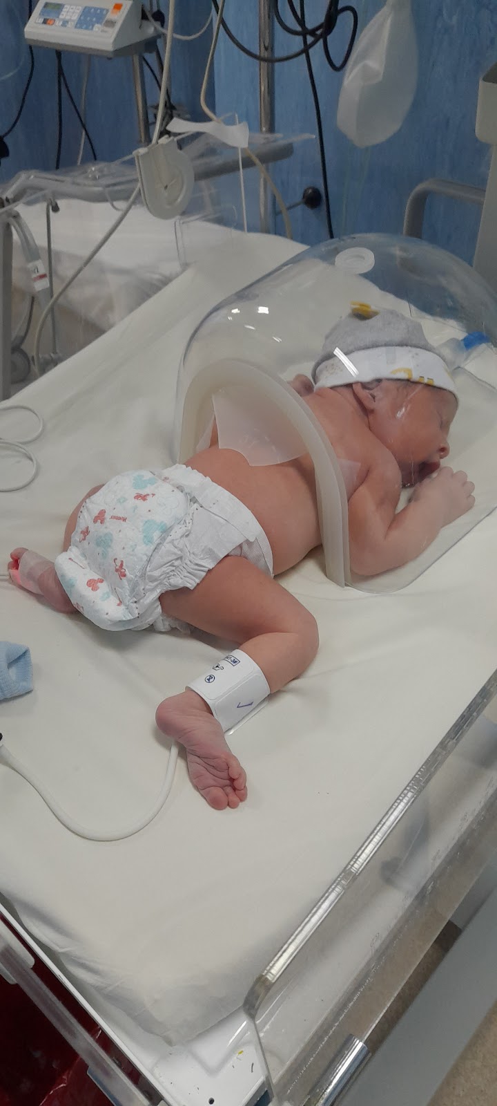 Pregna Medicina Reproductiva