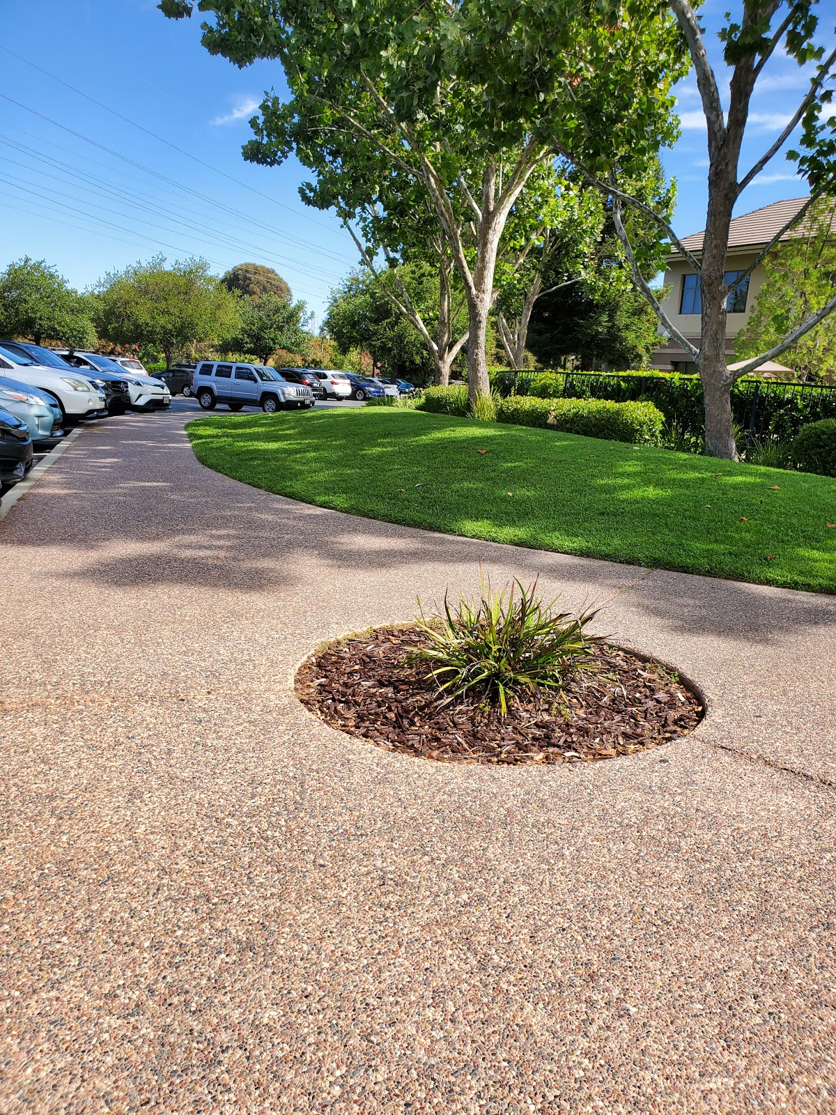 Stanford Fertility and Reproductive Health Services – Sunnyvale